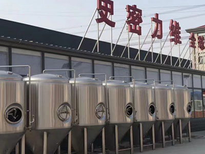 湛河精酿啤酒设备厂—如何判断精酿啤酒设备的密封件需要更换？